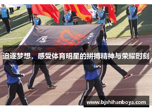 追逐梦想，感受体育明星的拼搏精神与荣耀时刻